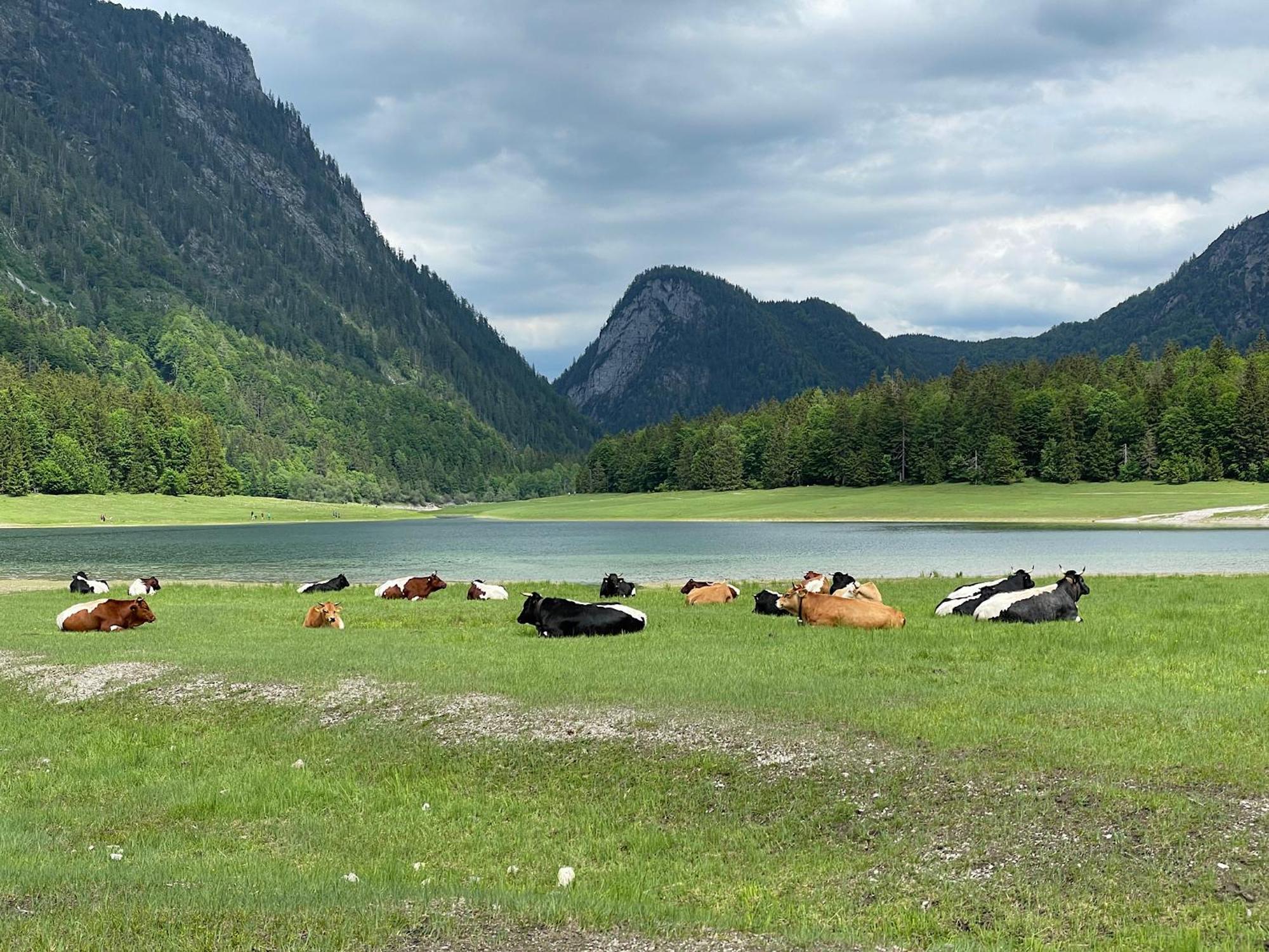 Ferienwohnung Eisenberger Inkl. Chiemgaukarte Ruhpolding Bagian luar foto