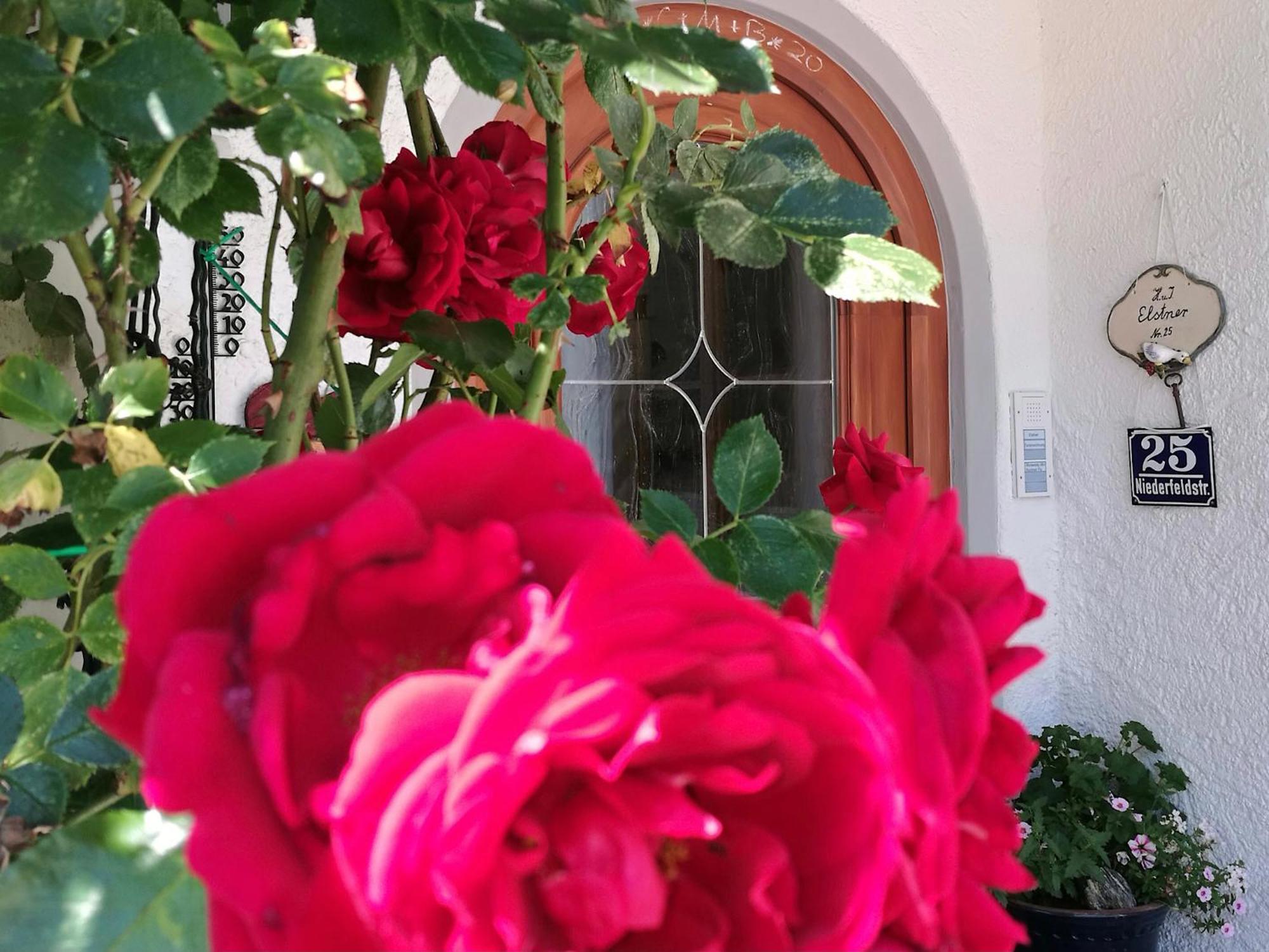Ferienwohnung Eisenberger Inkl. Chiemgaukarte Ruhpolding Bagian luar foto